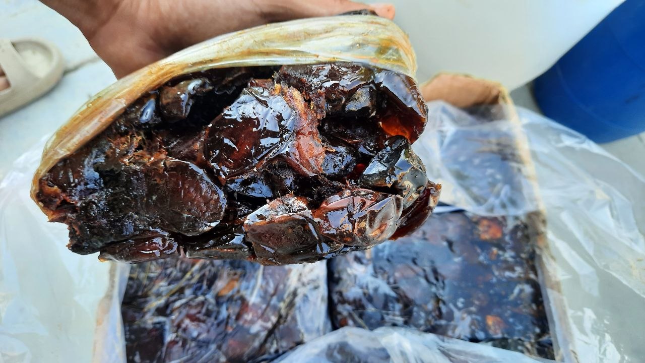 خرما کبکاب